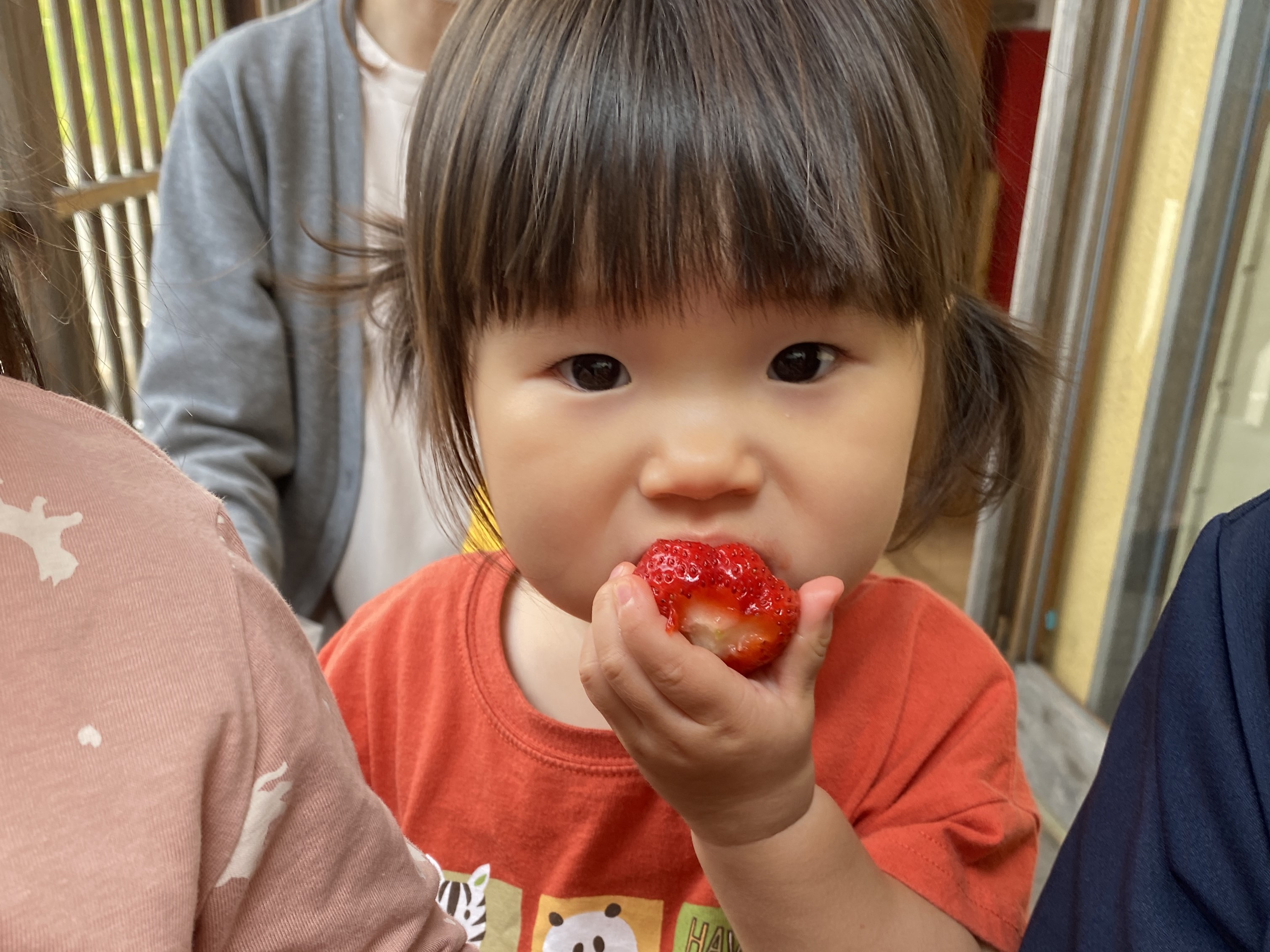 ５月「いちご狩り体験🍓・ポテトサラダ作り🥗」