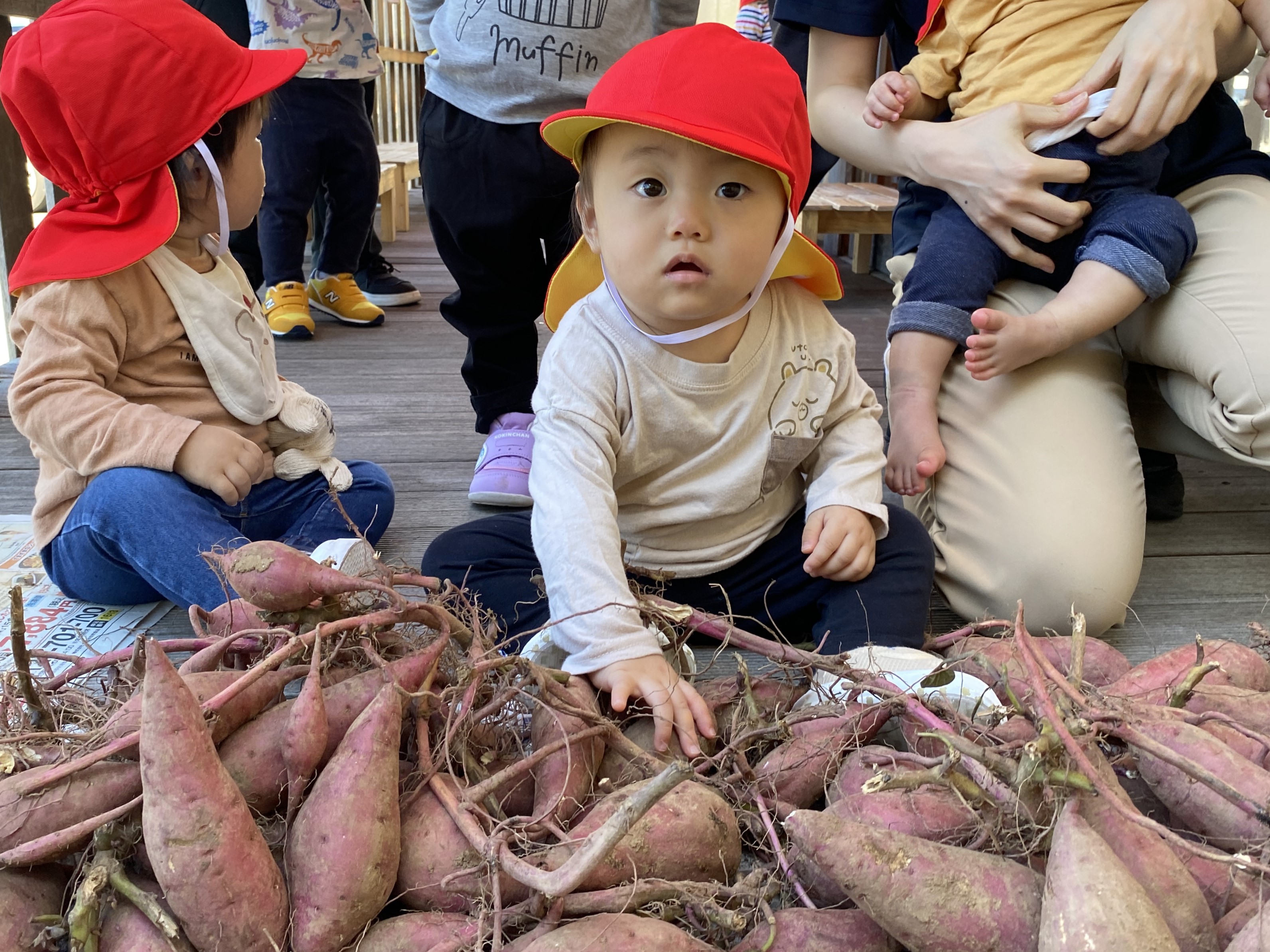 ９月「芋の土落とし体験・さつま芋パーティー🍠」