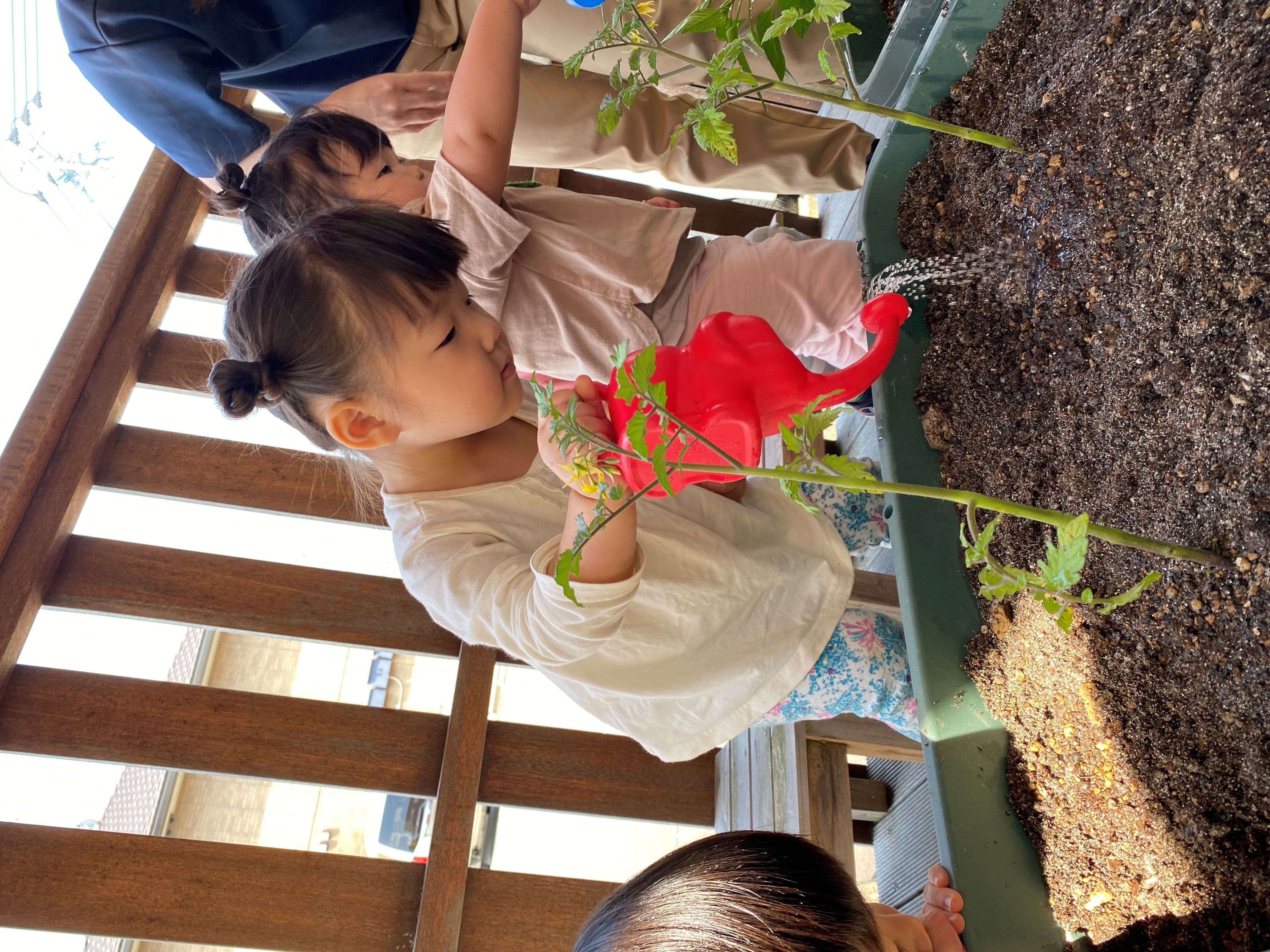 ５月「母の日制作💐・夏野菜の苗植え🍅・お誕生日会🎂」